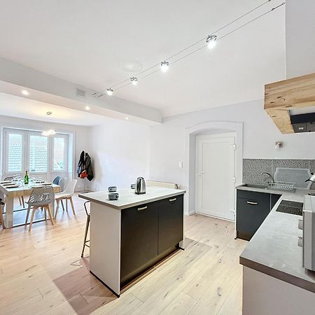 Grand Appartement Centre-Ville Clairvaux-les-Lacs Eksteriør billede